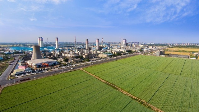 新春走基层|河南省新乡县:政企连心 为春耕备足"口粮"