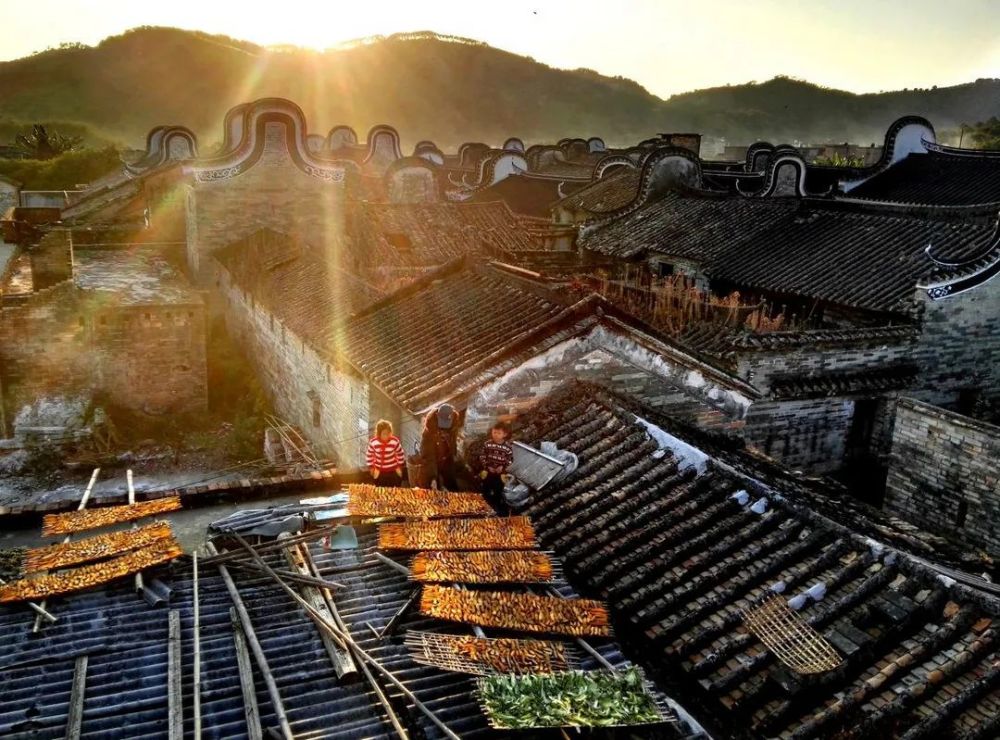 清远这个古村被全广东人羡慕