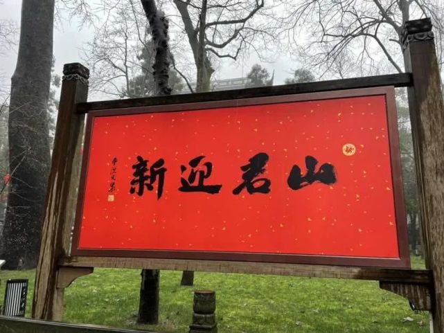 新迎君山图片