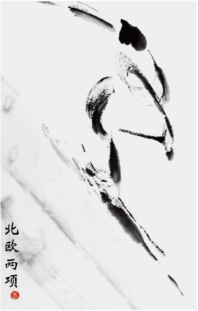 拍案叫绝 15个汉字 冬 精彩展现冬奥会15个运动项目 天天看点