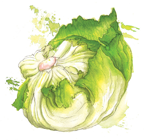 蔬菜绘:水彩蔬菜,画师georgina luck绘画作品_腾讯新闻