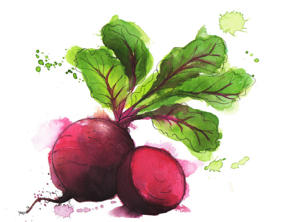 蔬菜绘:水彩蔬菜,画师georgina luck绘画作品_腾讯新闻