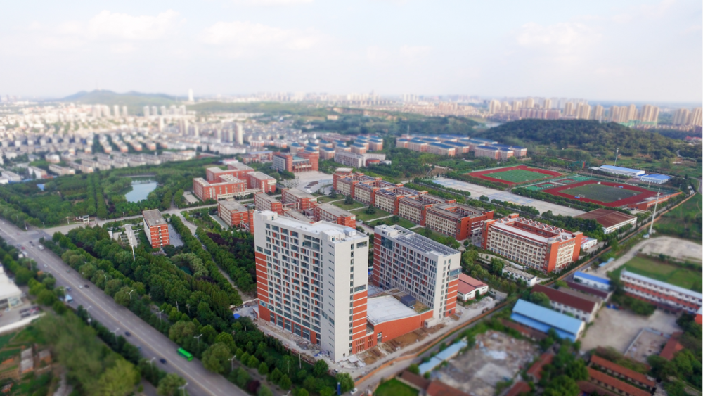 安徽对口升学指导淮南师范学院