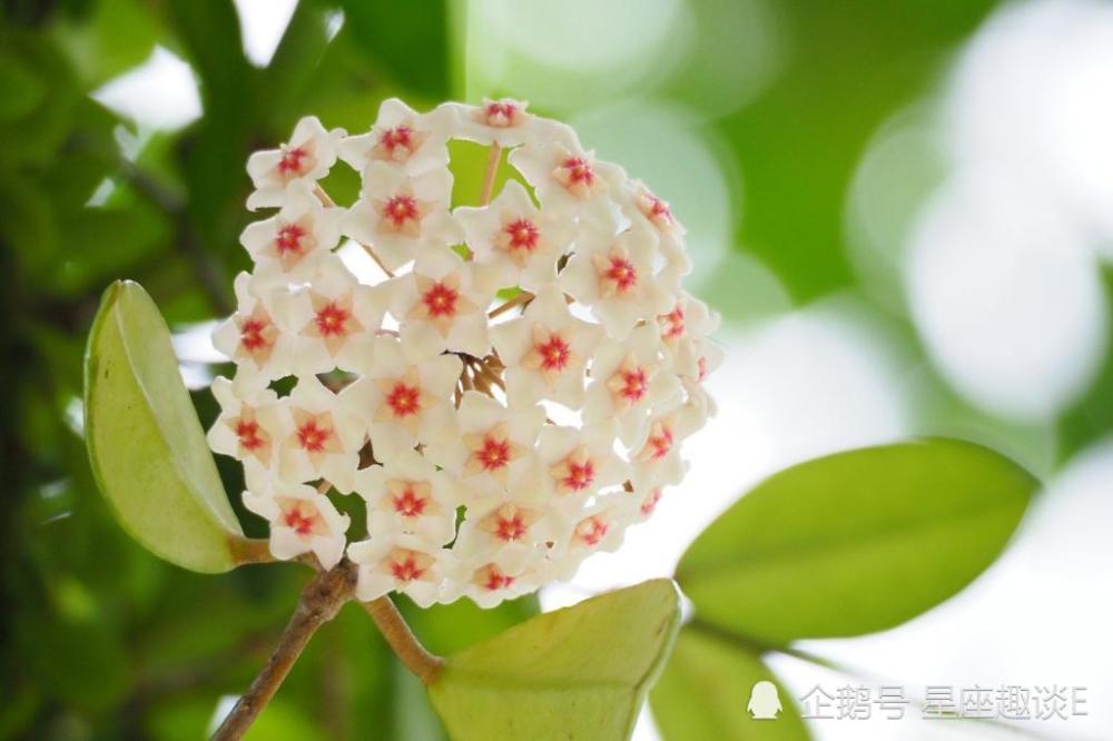 2月14日 日星座运势 头脑清醒 稳扎稳打的四大星座 腾讯新闻