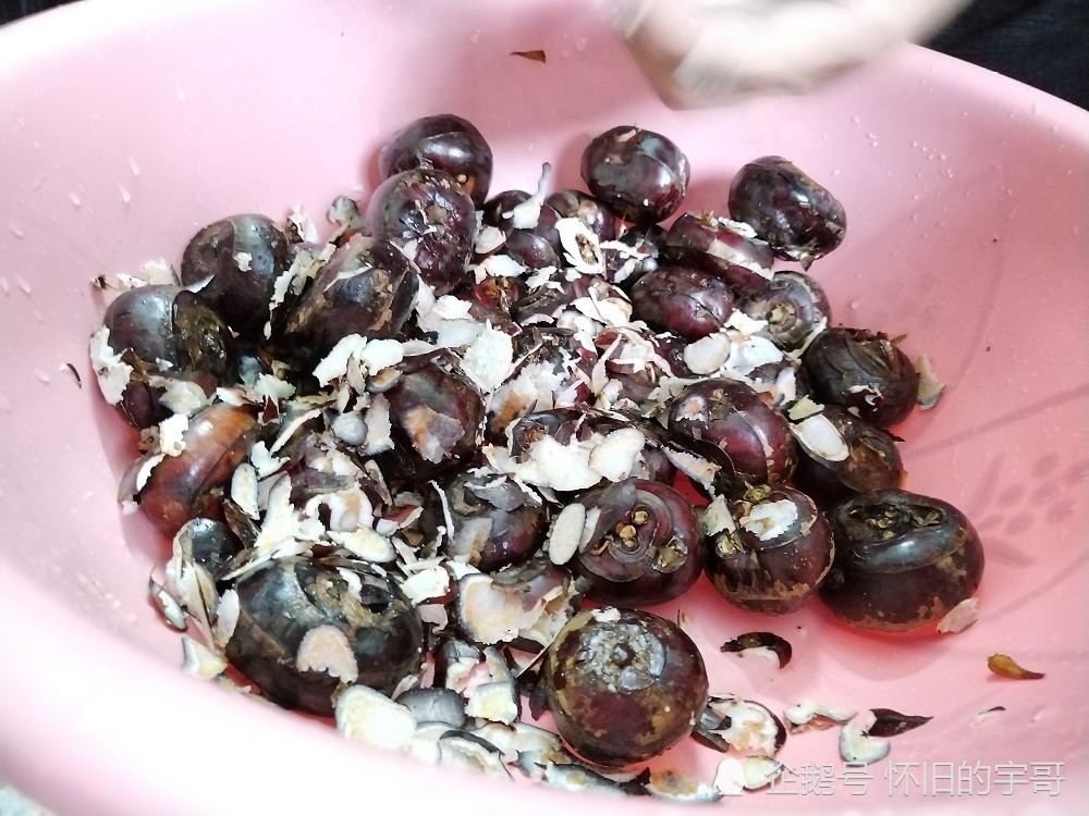 潮汕农村的钱葱因何得名如何区分是老的还是嫩的