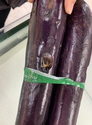 这两根捆在一起的茄子,看起来已经明显不新鲜,还有腐烂的地方,她立即