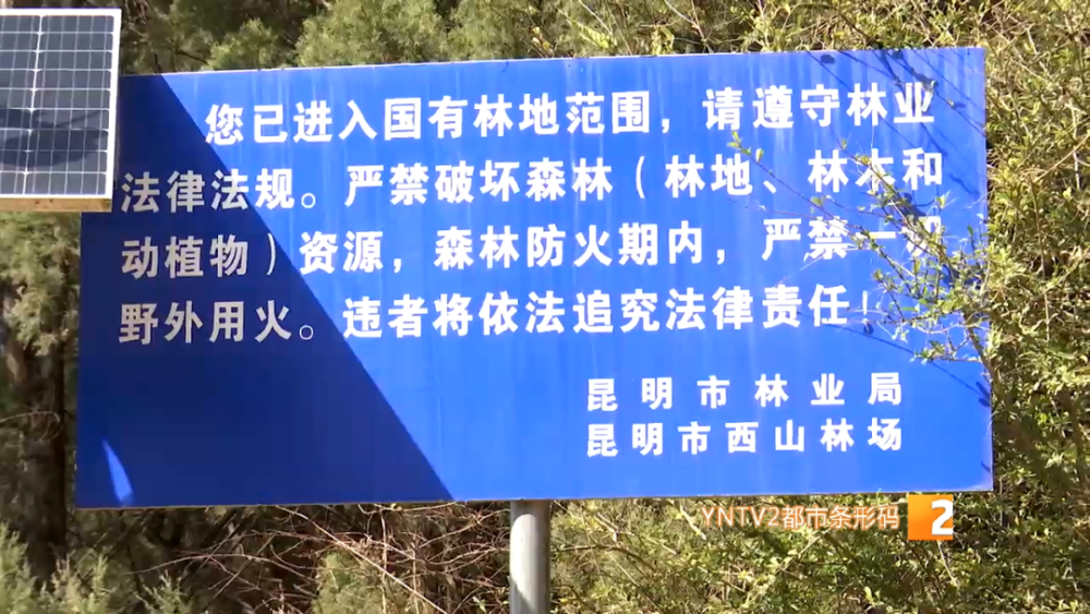 青海东台吉乃尔湖关闭了吗_【青海东台吉乃尔湖属于哪个市】