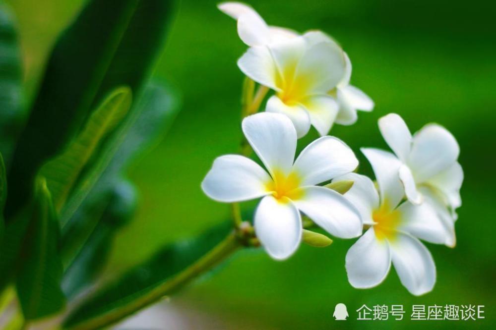 1月15日星座运势 居安思危 高瞻远瞩的四大星座 腾讯新闻