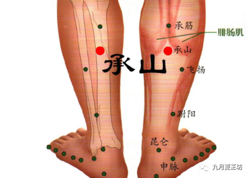 減肥養生小常識按摩方法承山穴