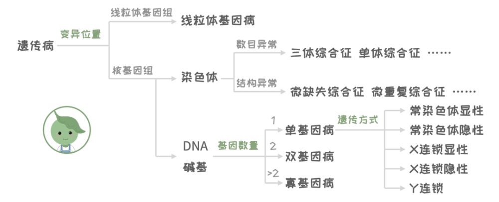 郑维义:罕见病的基因治疗|国际罕见病日99科普公益