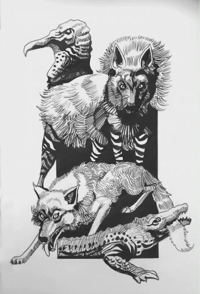 黑白画线条动物的世界