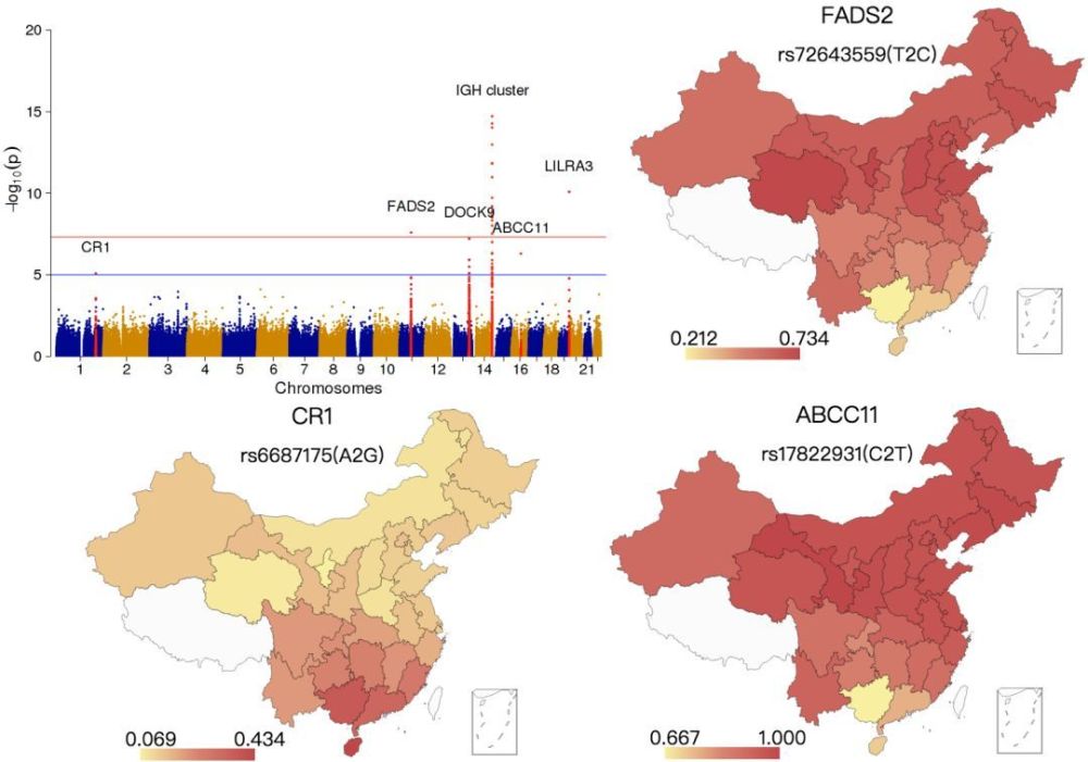 科学家为了证明日本人与中国人的关系,对我国的人口基因进行分类,由于