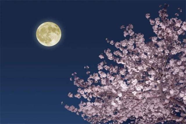 元宵节春月诗词六首冻梅才放后春月正圆时