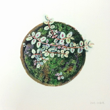 超漂亮的苔藓类水彩绘画作品,画师江南芳