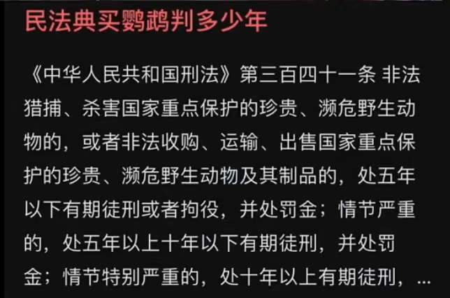 买一只大熊猫判10年,买两只鹦鹉判5年,买个人最多判3年?_腾讯新闻