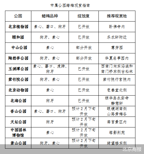 王强徐州相关企业济南交友公园节日亮相市属雪人教版四年级赶海的小姑娘简谱