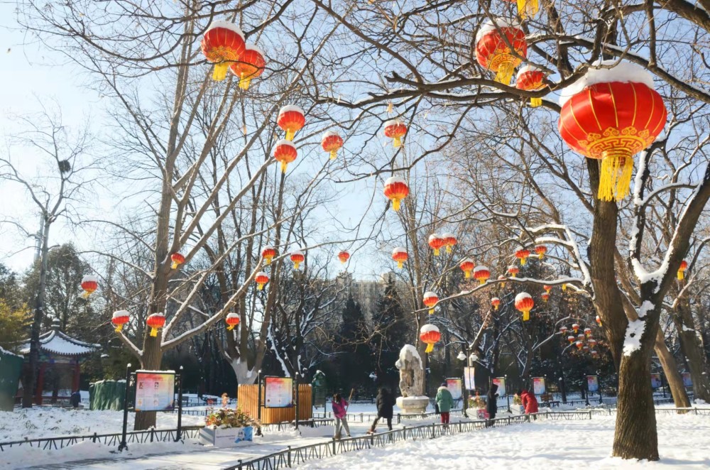 市属公园元宵喜乐汇推出14项文化活动，雪上活动接近尾声北京师范大学的历任党委书记