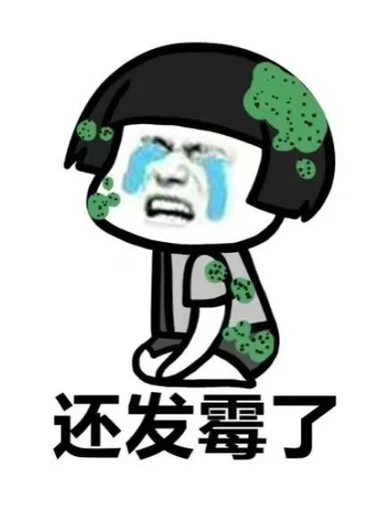 一场接一场,总是淅淅沥沥下个不停,连续多日的阴雨,"人都快发霉了"