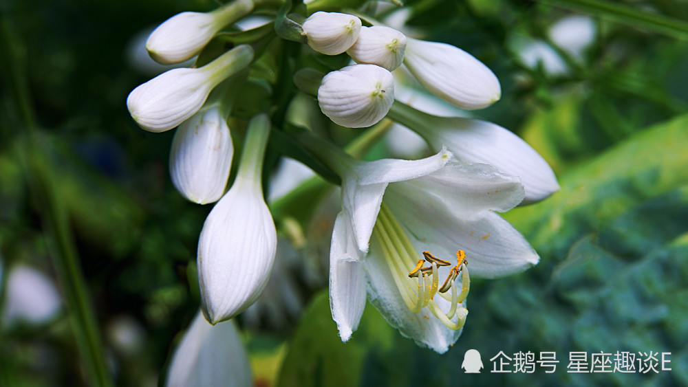 2月15日 19日爱情运势 痴心守候 笑逐颜开的四大星座 腾讯新闻