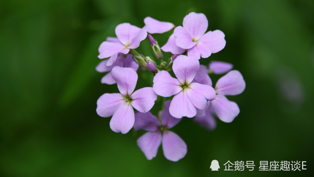 2月15日 19日星座运势 斗志昂扬 谋有所成的四大星座 腾讯新闻