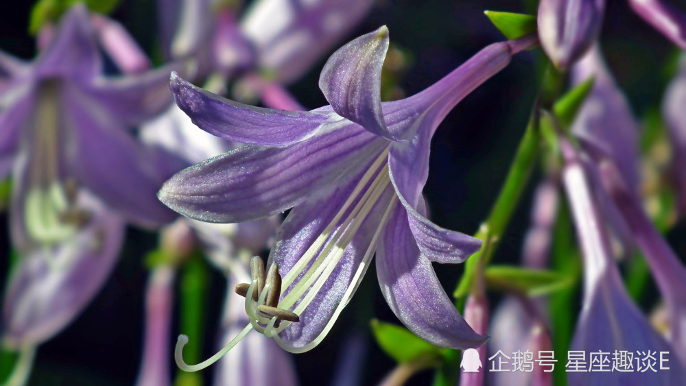 2月15日 19日星座运势 斗志昂扬 谋有所成的四大星座 腾讯新闻