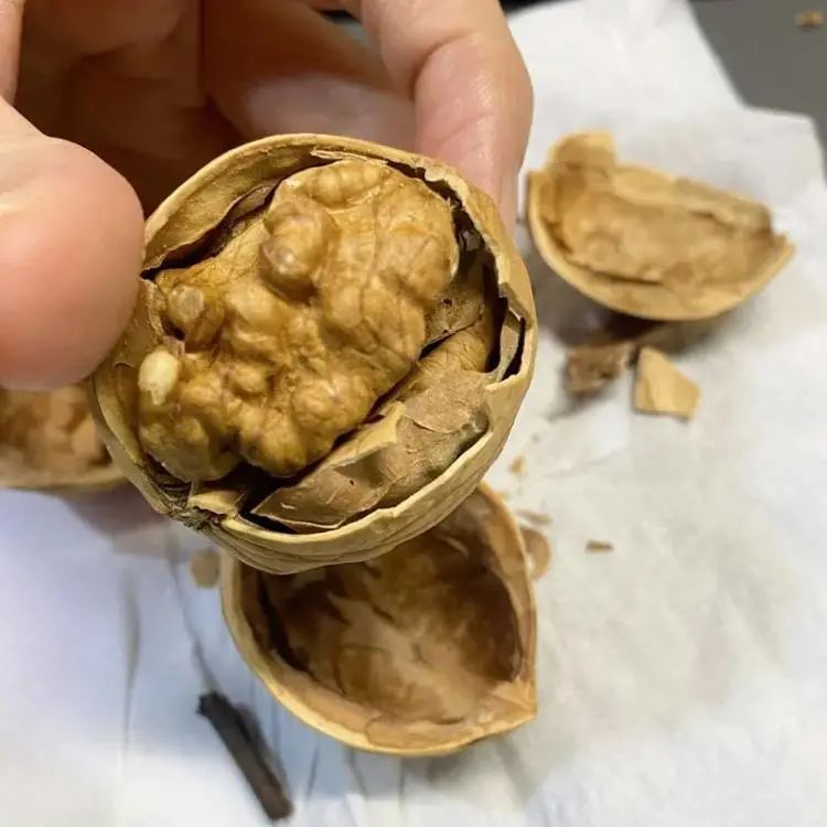 全国包邮新疆纸皮核桃2斤装仅需499元一捏就开一吃就爱