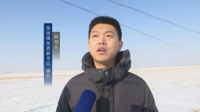 延寿县丨加信镇:不负春光抢农时 有序清雪备春耕