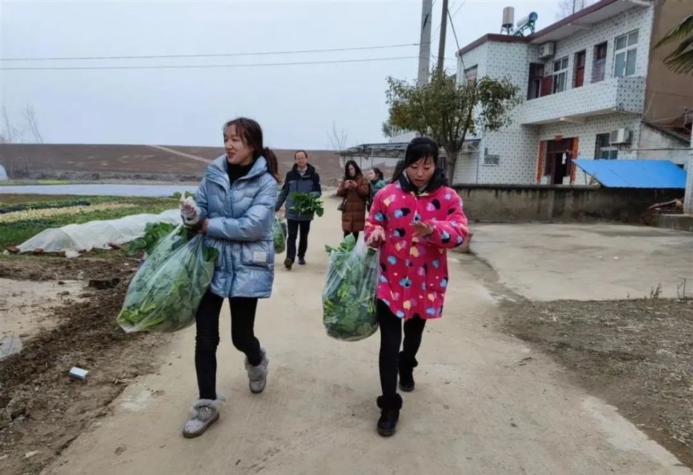 2月12日,位于云梦县隔蒲潭镇袁联村的湖北水悦湾果蔬种植专业合作社里