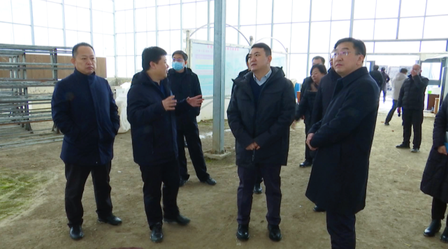 丰南61要闻唐山宴董事长邱凯一行来我区考察