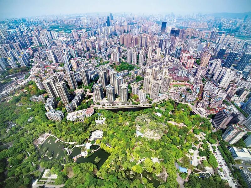 重庆九龙坡区企业符合这些条件最高可获1000万元补助
