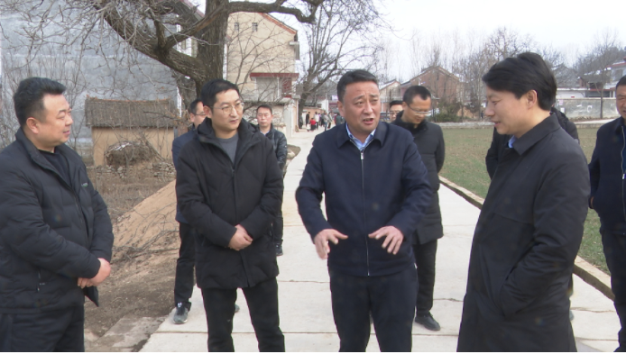 杨长江调研全县农业农村工作_腾讯新闻