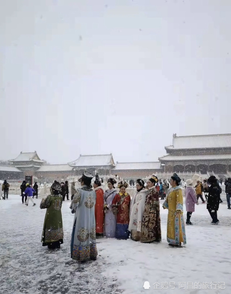 北京飄飄灑灑下起大雪,京城的人們四處奔走各大公園,故宮,景山公園拍