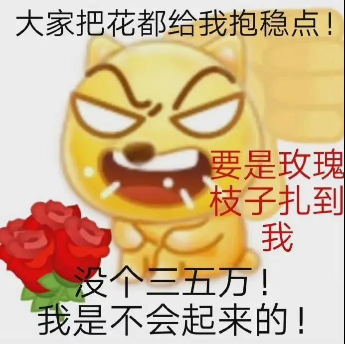 搞笑沙雕表情包