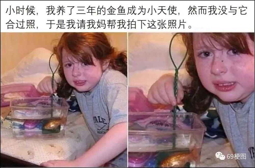 梗圖合集:情人節快樂,沒有情人的刷meme吧_騰訊新聞