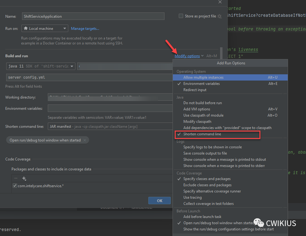 Intellij Debug From Command Line