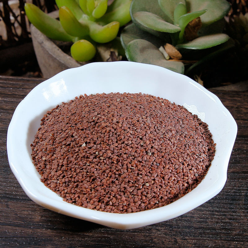 中药古今研究天仙子