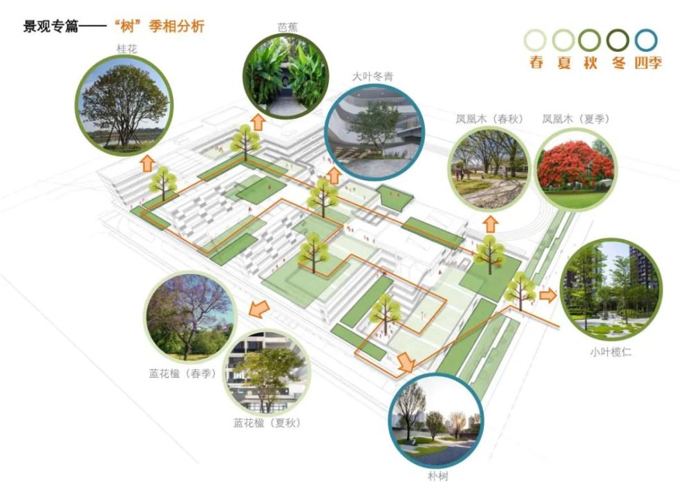 原址腾挪ccdi东西影工作室公布桂园中学改扩建方案