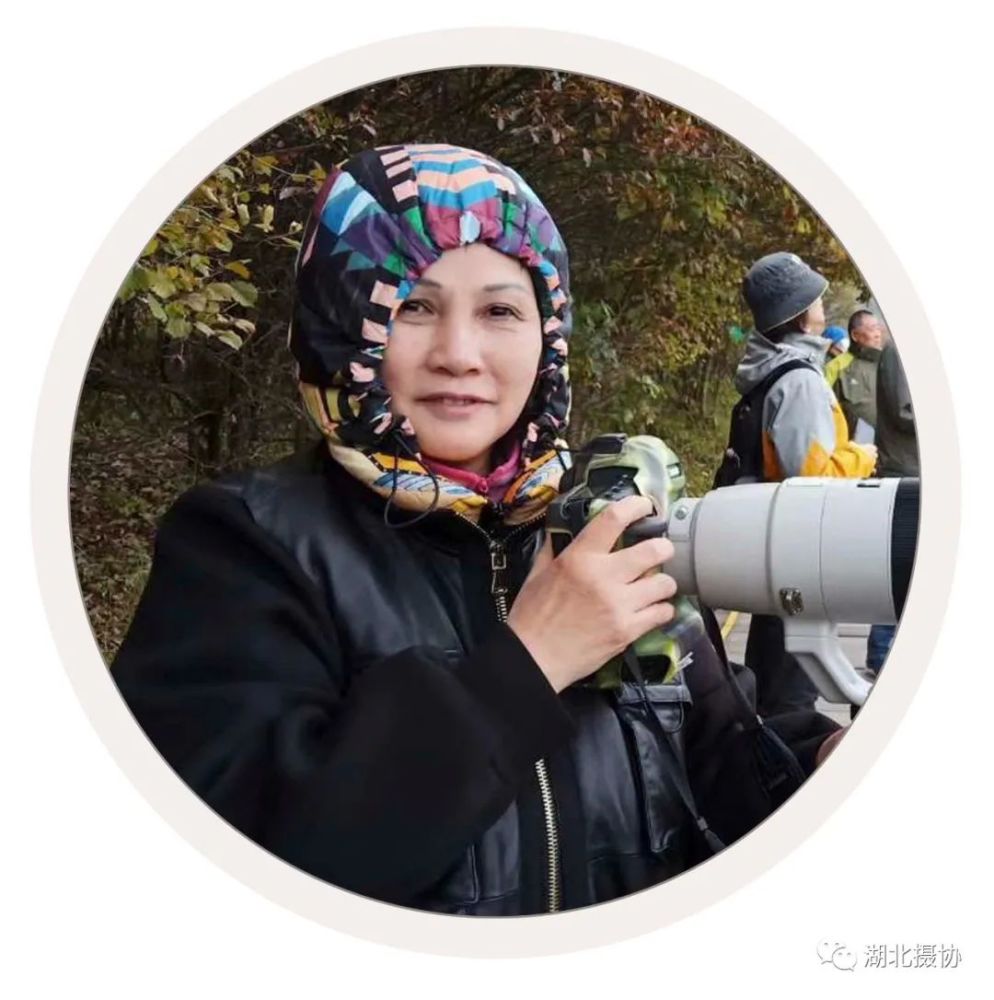 影像|杨少文:初入鸟巢_腾讯新闻