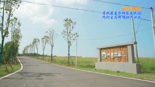 寻找武汉最美巾帼农庄(民宿)丨枫香云堡:巧打生态牌 唱好产业戏_腾讯