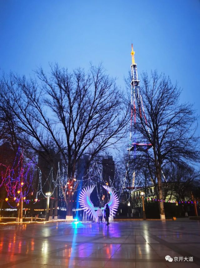 四毛约我去新蕾公园看花灯.正月十五看花