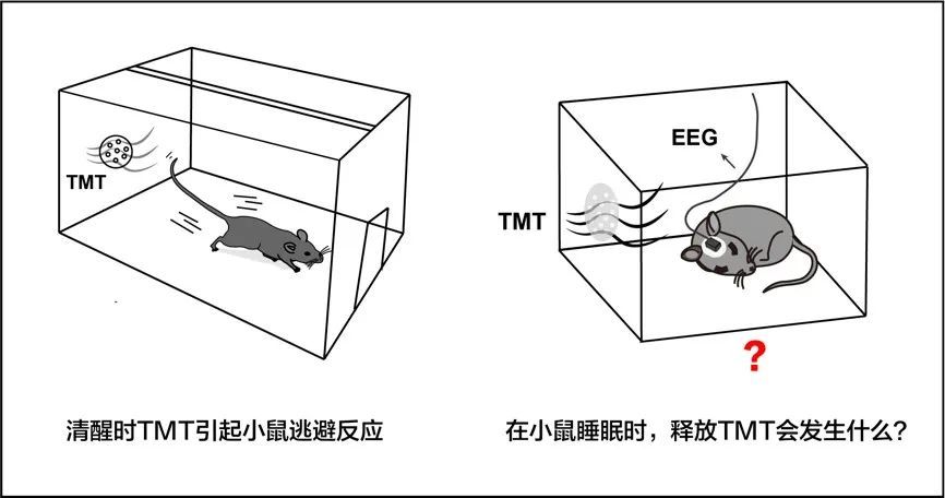 逆势突围！佛山会展业跻身全国地级市会展第一梯队一年级学英语线上还是线下好