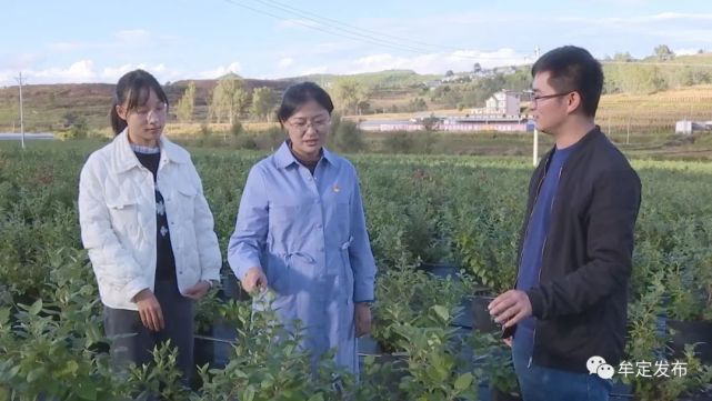 牟定县十佳领导干部宿璐新时代优秀组工干部的楷模