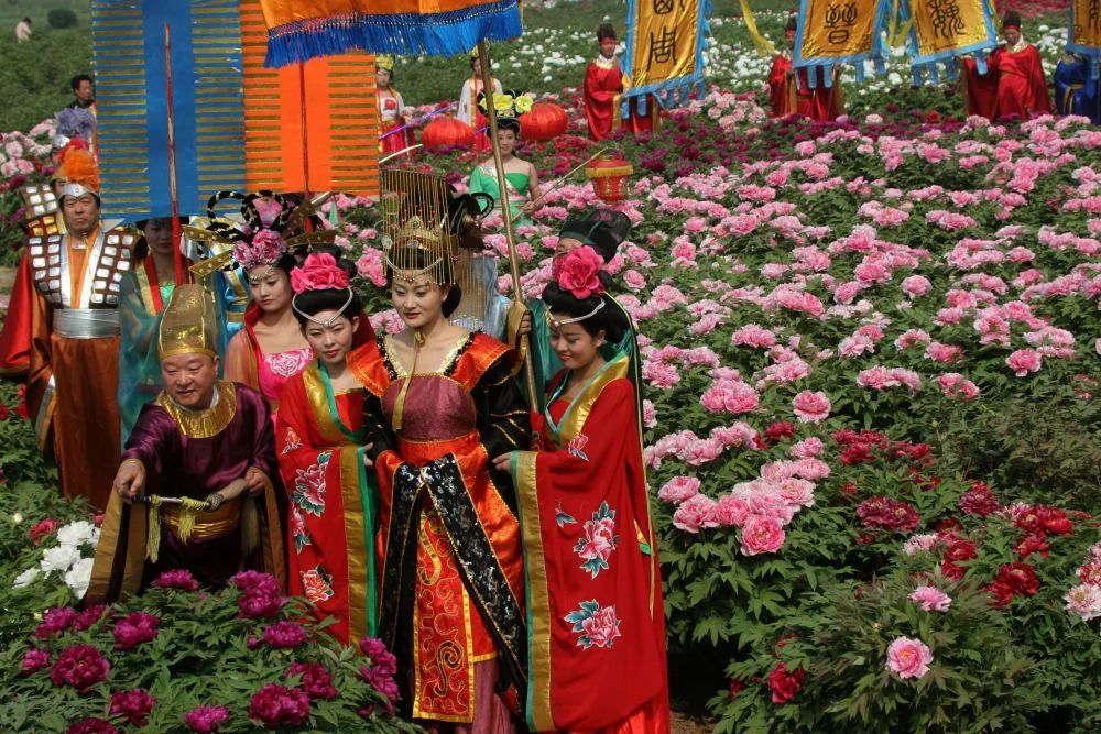 牡丹与洛阳_腾讯新闻