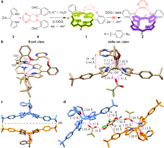 (a)利用一锅两步法合成phlorin中间体1,且它在避光并有过量的氧化剂