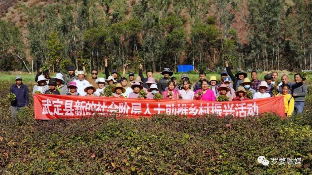 武定县开展新的社会阶层人士助力乡村振兴系列活动