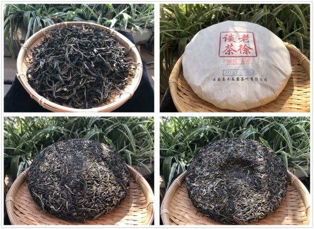 2021头春磨烈古树茶优享茶香浓郁茶味饱满厚重回甘强茶气足