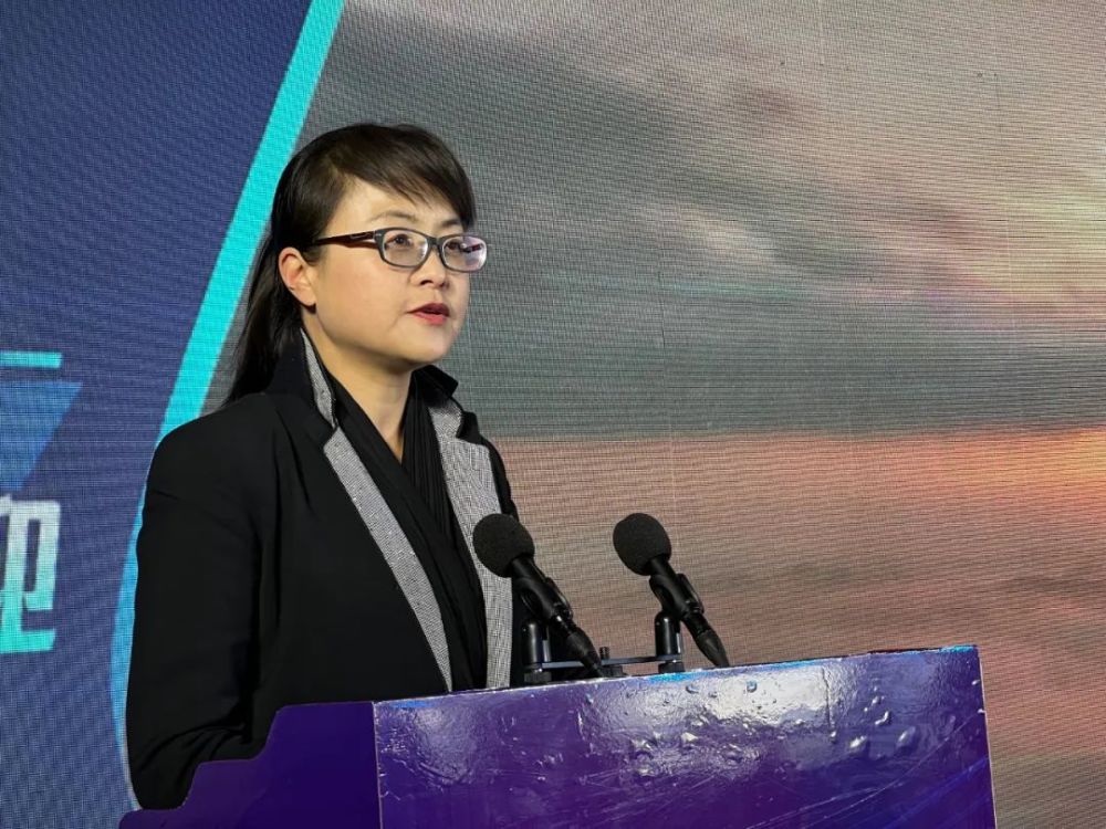 官渡区人民政府区长周燕就官渡区产业结构布局和经济发展"政策包"进行