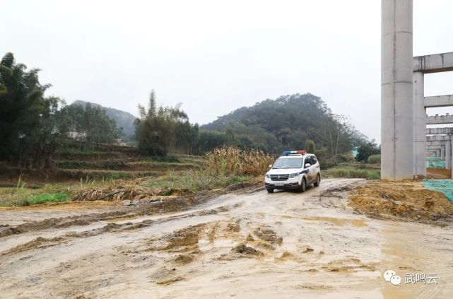 武鸣灵马镇守住边界疫情防控关