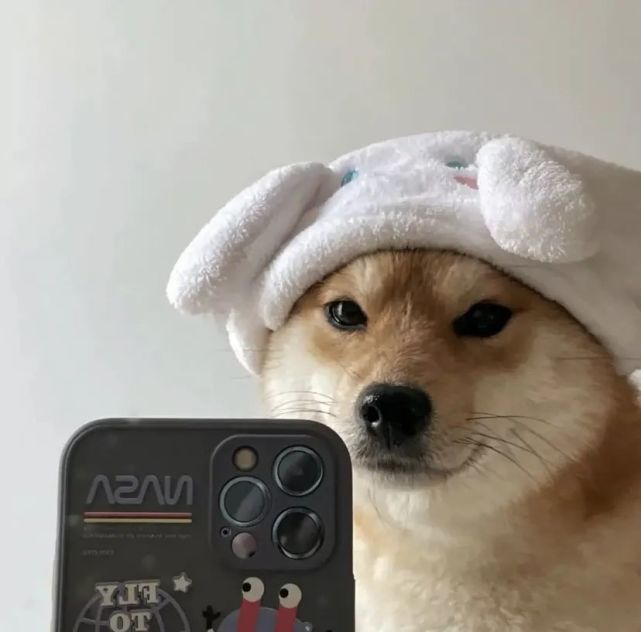 269汪星人头像人还是刚认识的好虚伪又礼貌