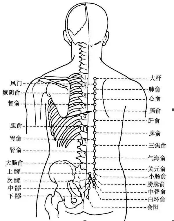 春天刮肝經無病一身輕